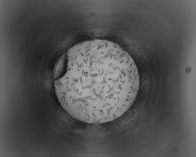 X0000102860866200809081304