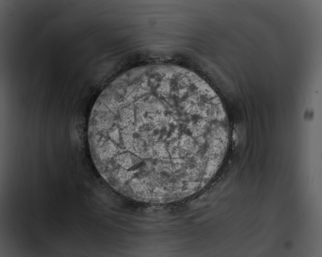 X0000102860867200809081304