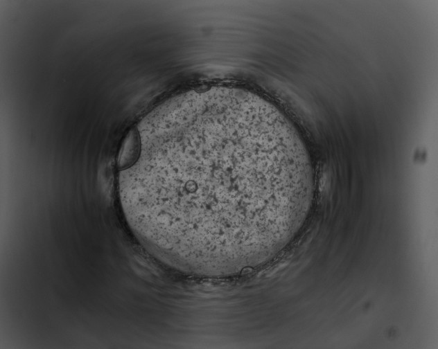 X0000102860868200809081304