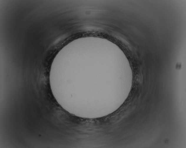 X0000102860869200809081304