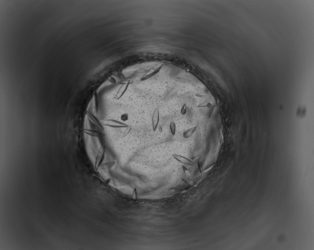 X0000102860870200809081304