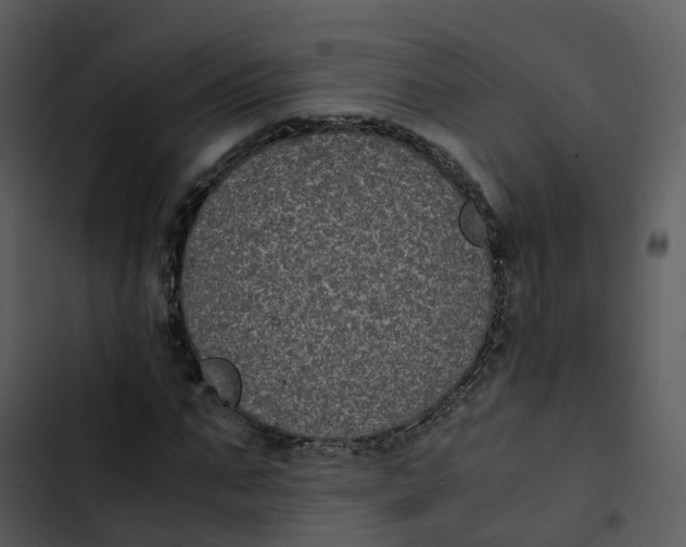 X0000102860871200809081304