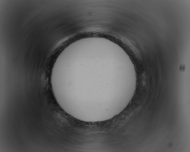 X0000102860872200809081304