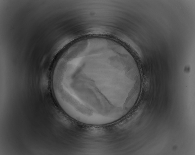 X0000102860874200809081304