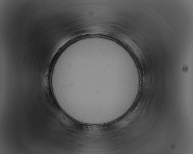 X0000102860875200809081304