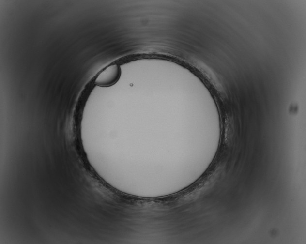 X0000102860876200809081304