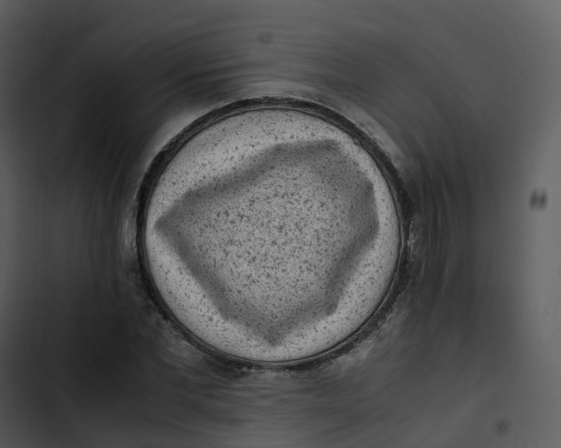 X0000102860877200809081304