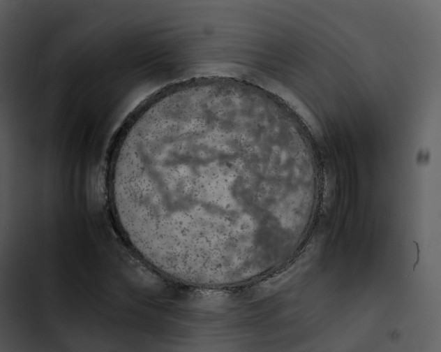 X0000102860878200809081304