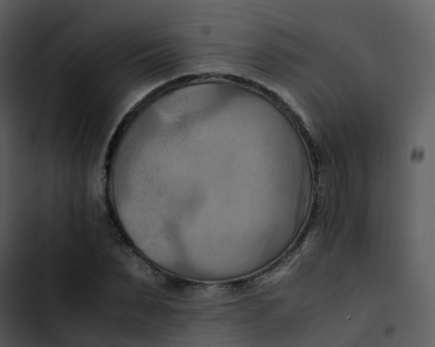 X0000102860879200809081304