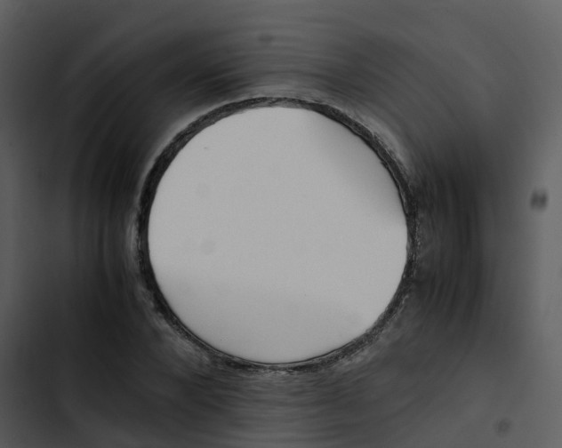 X0000102860880200809081304