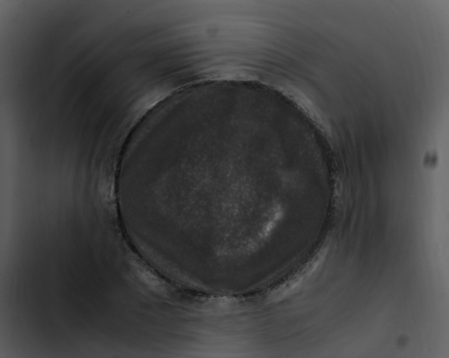 X0000102860881200809081304