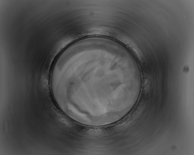 X0000102860882200809081304