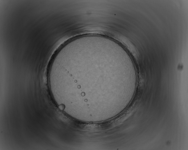 X0000102860883200809081304