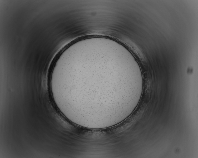 X0000102860884200809081304