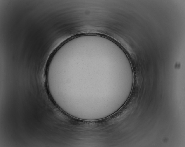 X0000102860885200809081304