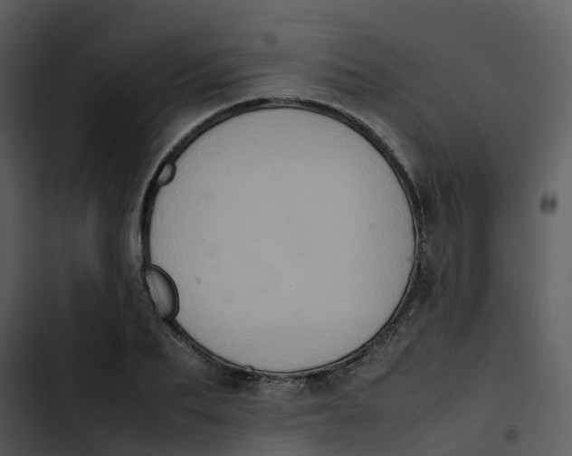 X0000102860887200809081304