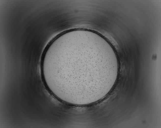 X0000102860888200809081304