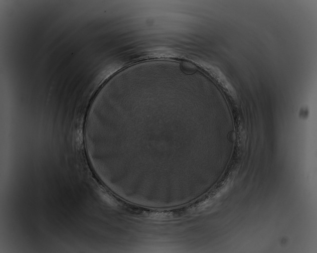 X0000102860889200809081304