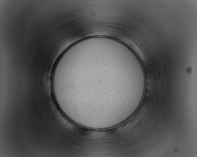 X0000102860890200809081304