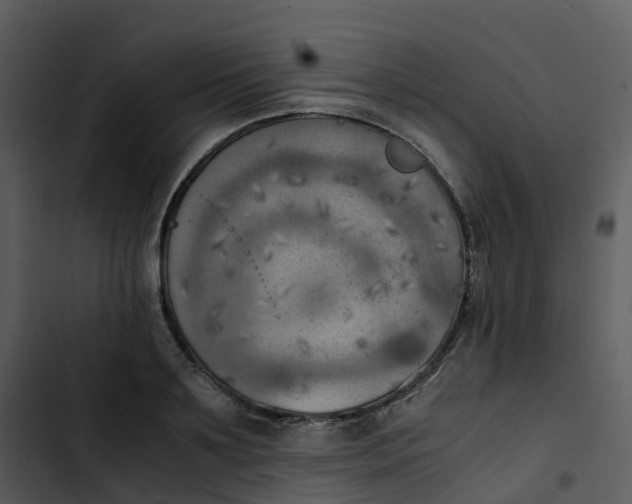 X0000102860891200809081304