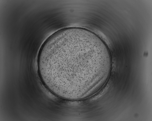 X0000102860892200809081304