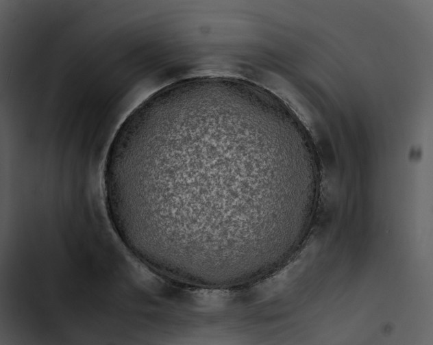 X0000102860893200809081304