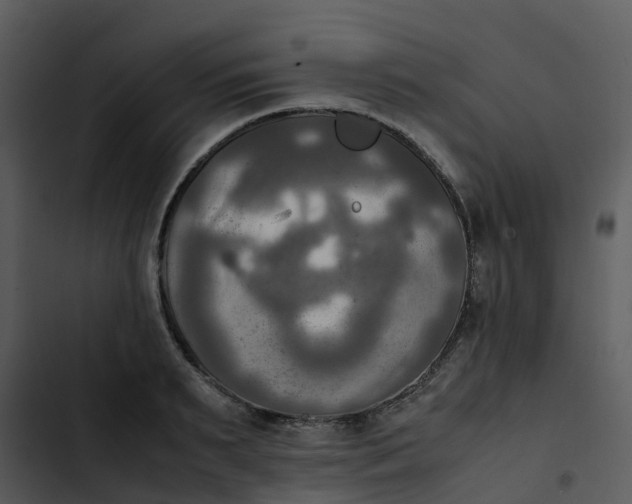 X0000102860895200809081304