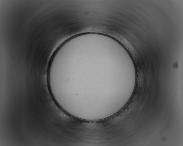 X0000102860896200809081304