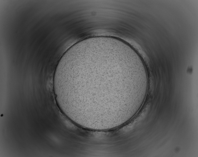 X0000102860897200809081304