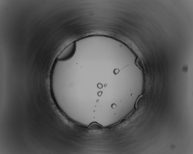 X0000102860898200809081304