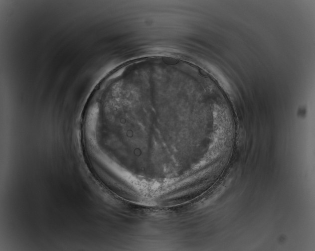 X0000102860899200809081303