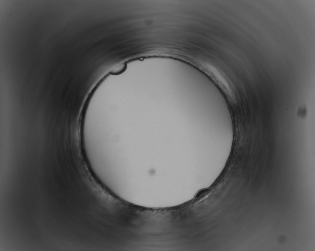 X0000102860900200809081303