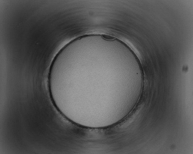 X0000102860901200809081303