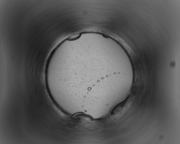 X0000102860902200809081303