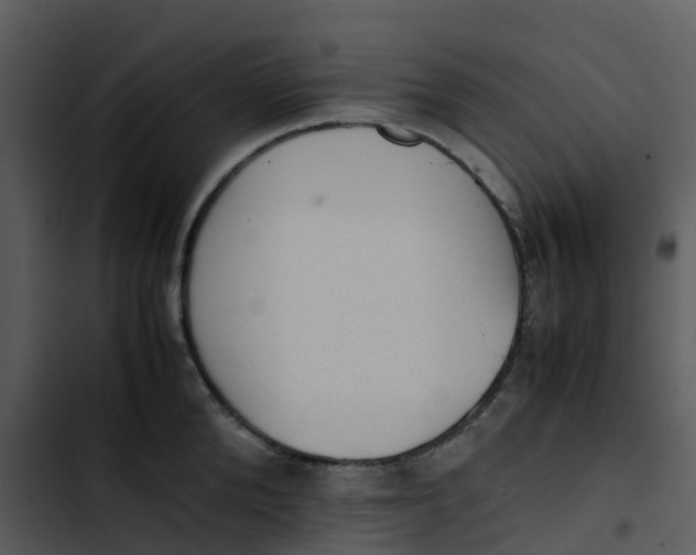 X0000102860904200809081303