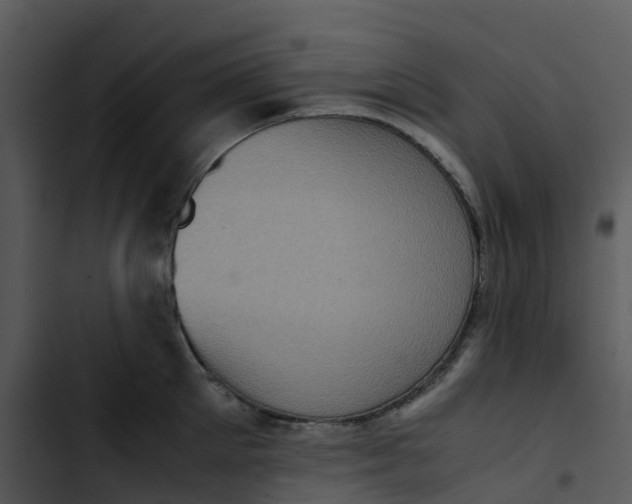 X0000102860905200809081303