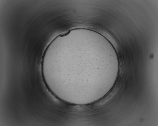 X0000102860906200809081303