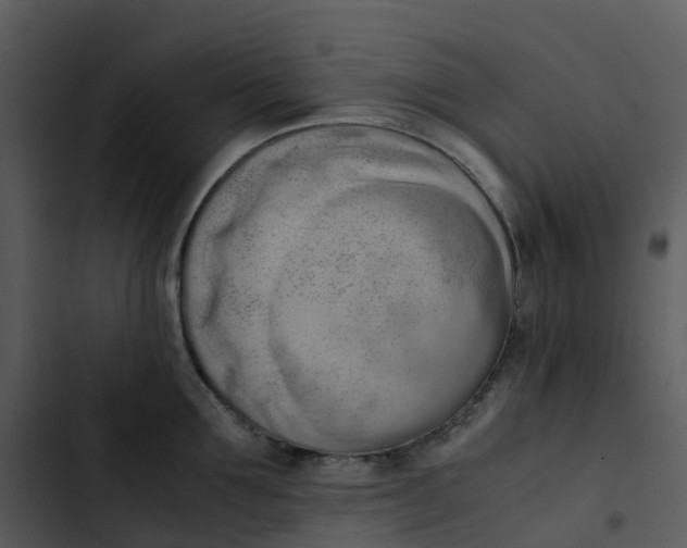 X0000102860907200809081303