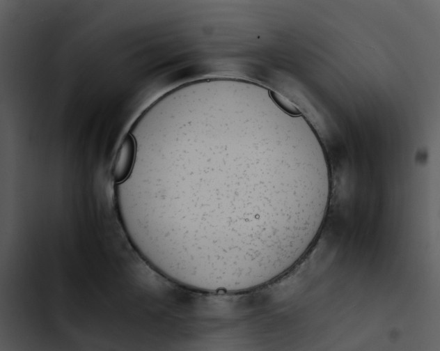 X0000102860908200809081303