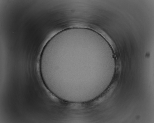 X0000102860909200809081303