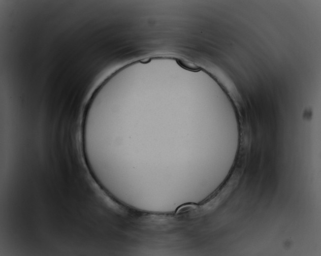 X0000102860910200809081303