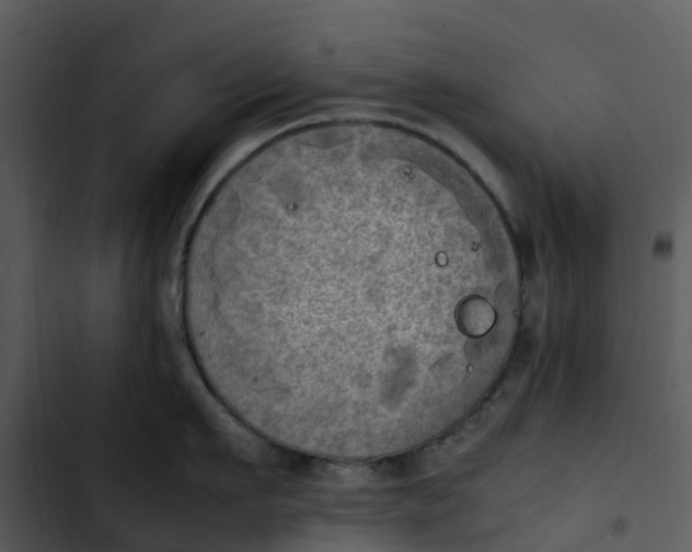 X0000102860911200809081303