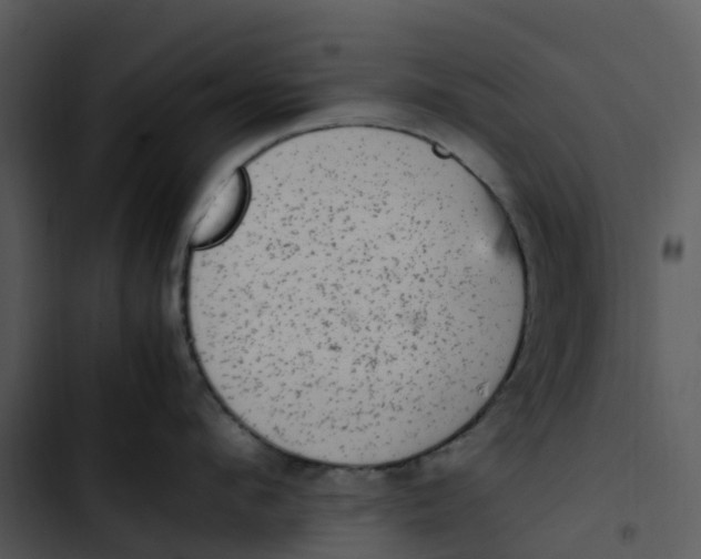 X0000102860912200809081303