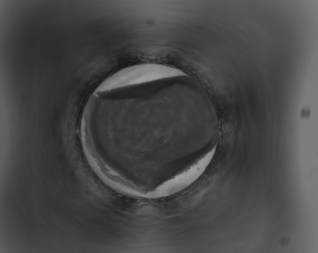 X0000102860913200809081303