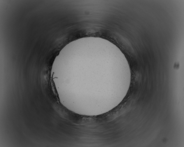 X0000102860914200809081303