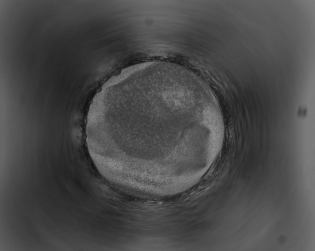 X0000102860916200809081303