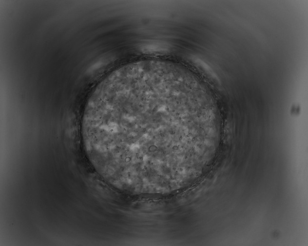 X0000102860917200809081303