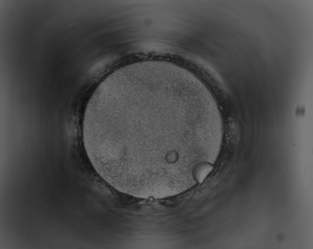 X0000102860918200809081303