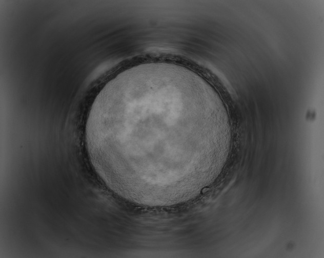 X0000102860919200809081303