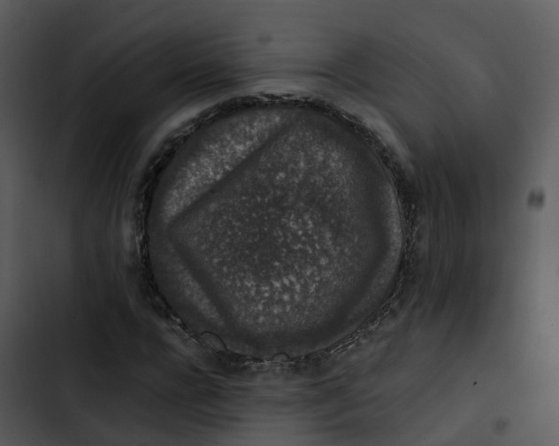 X0000102860920200809081303